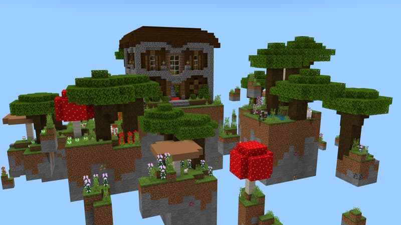 Tiny Skyblock