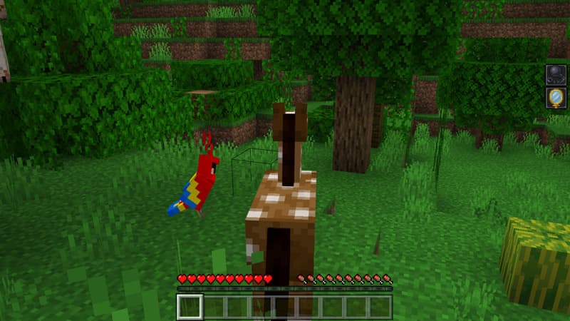 Disguise Craft