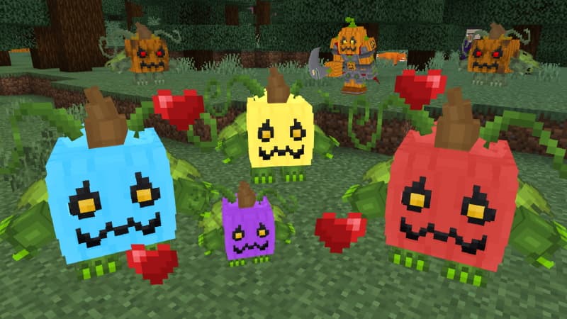 How to Live Inside a Pumpkin?