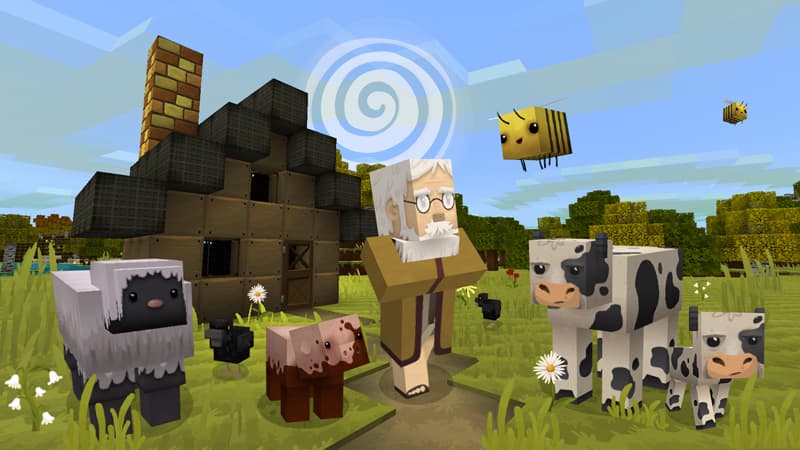 Jolicraft HD