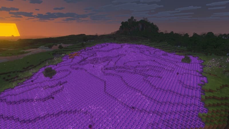 Gravity Expansion
