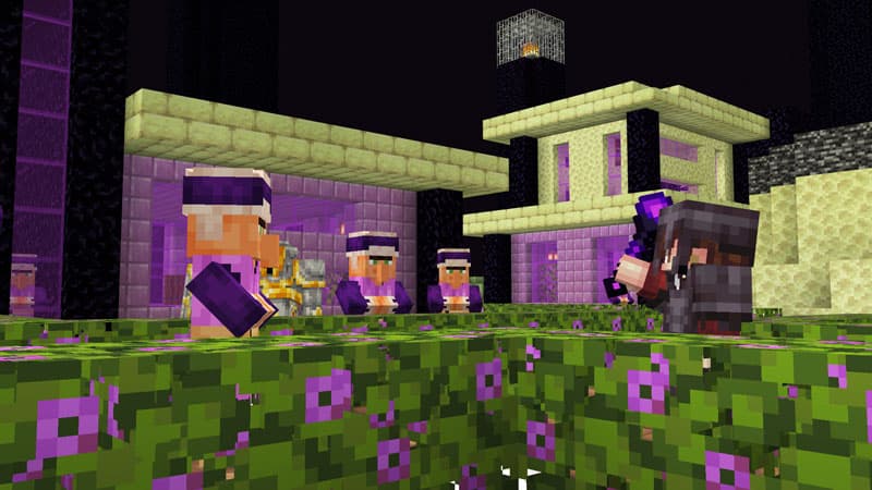 Ender Expansion