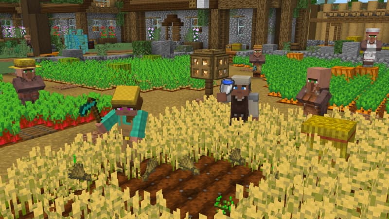 Village 2.0