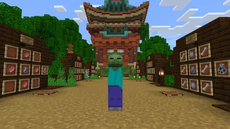 Disguise Craft