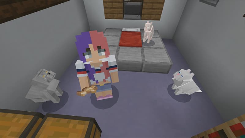 CAT+