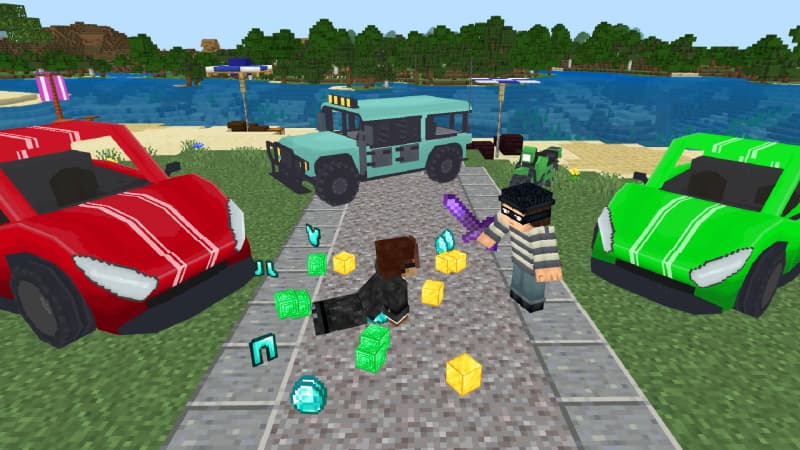 Hacker vs Robber