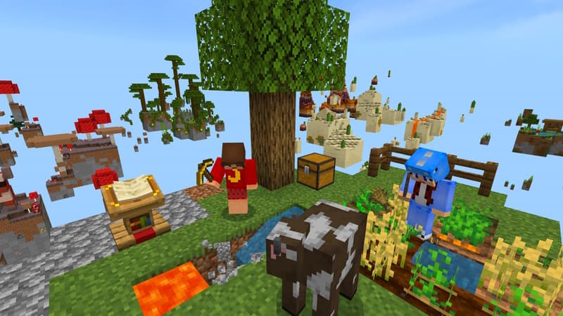 Tiny Skyblock