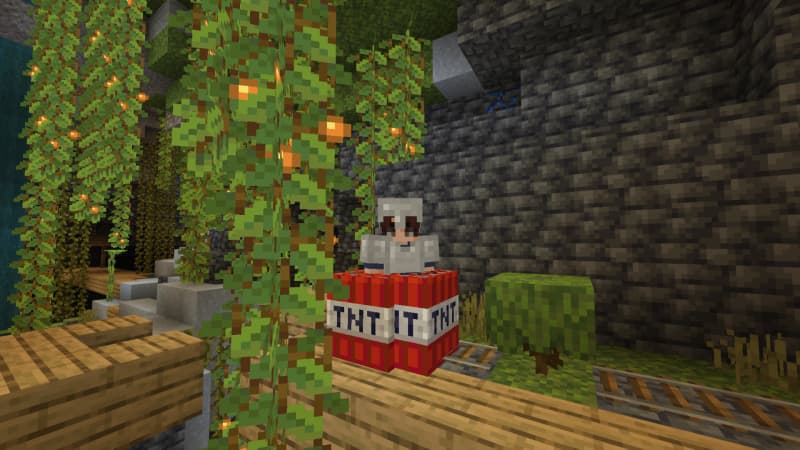 Custom Potions