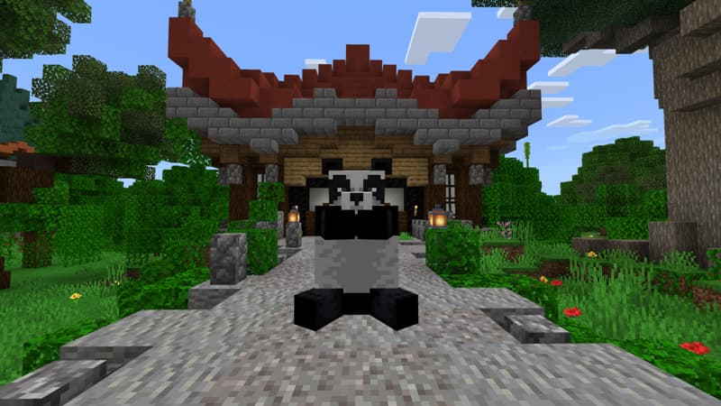 Disguise Craft