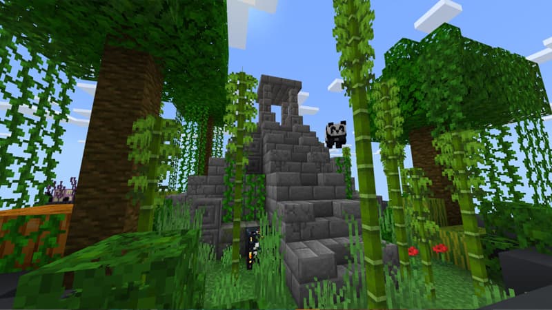 Sky Pots
