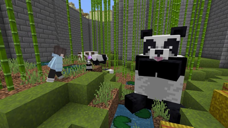 Random Sized Mob Zoo