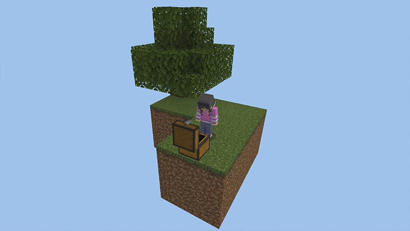 SKYBLOCK FUN!