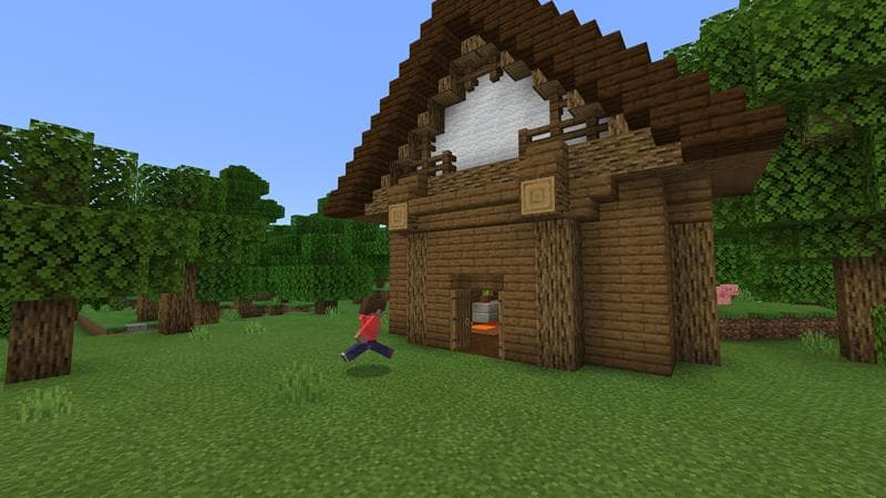 Mansion Under House