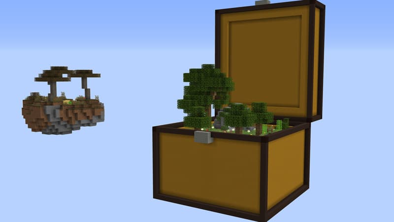 Chest Skyblock