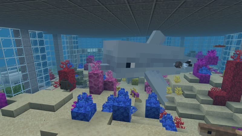 Random Sized Mob Zoo