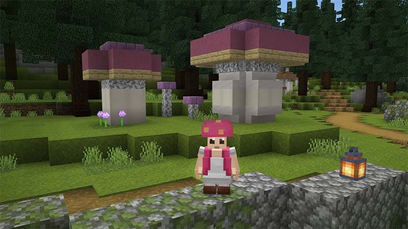 Mushroom Forest