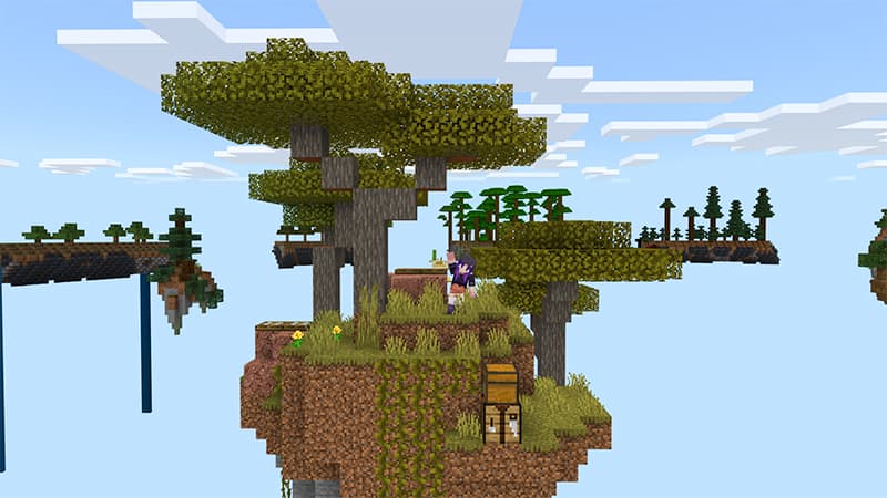 Ring SkyBlock