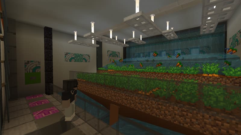 Millionaire Underground Base