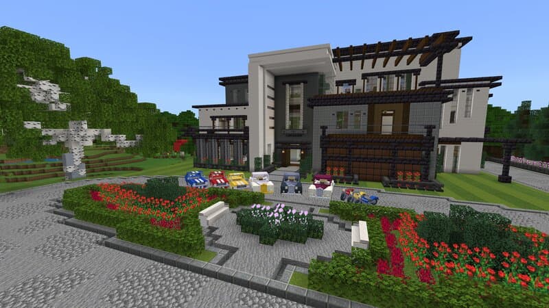 Millionaire Life