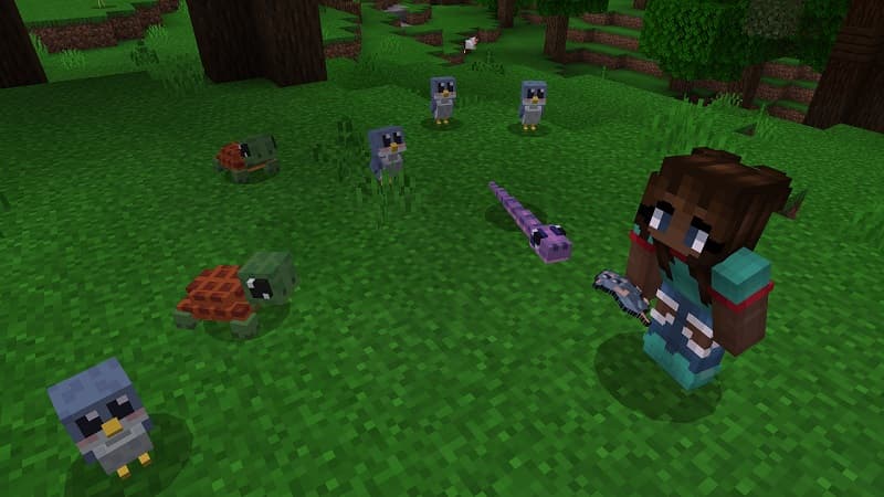 Baby Pets