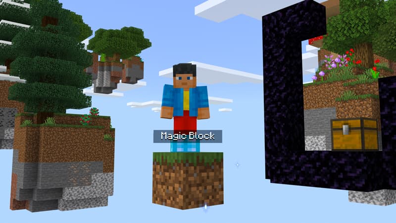 ONE BLOCK SKYBLOCK