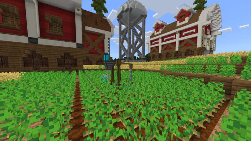 Farm Life