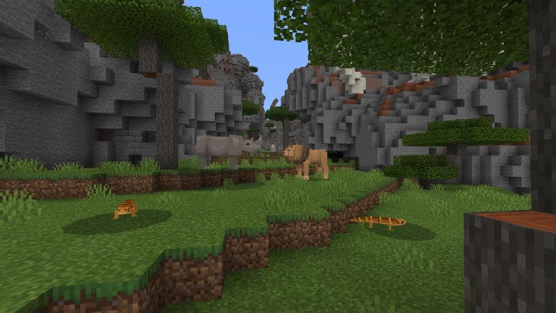 Wild Savanna