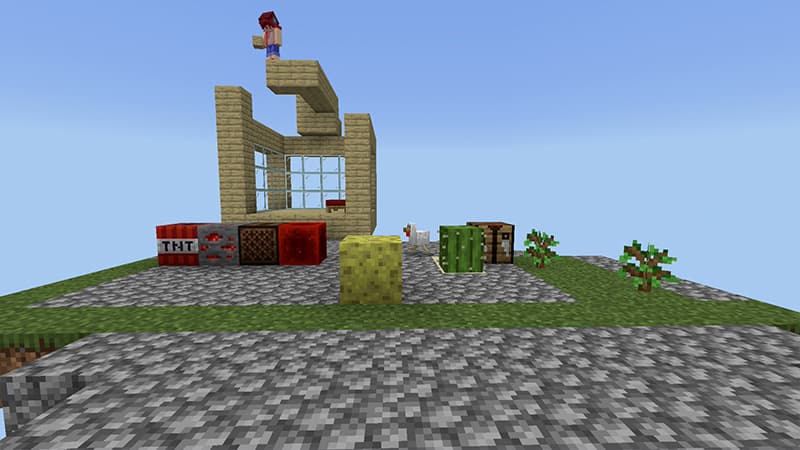SKYBLOCK ONE BLOCK WORLD!