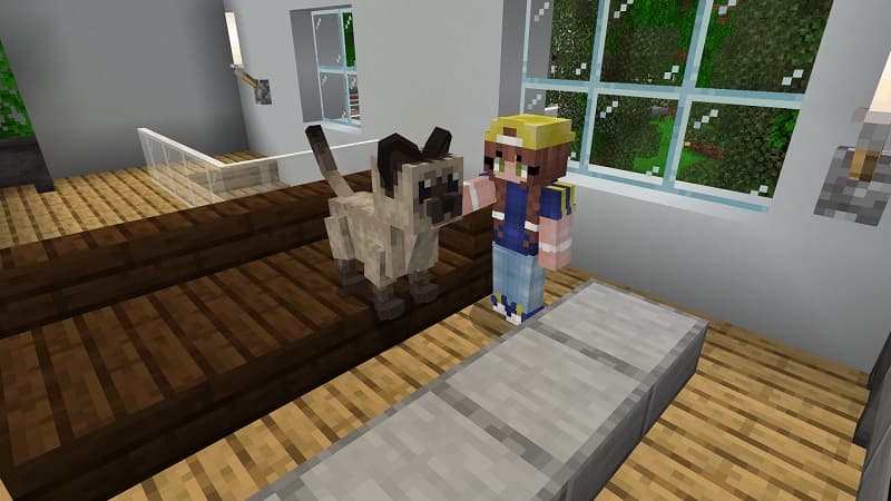 Baby Pets