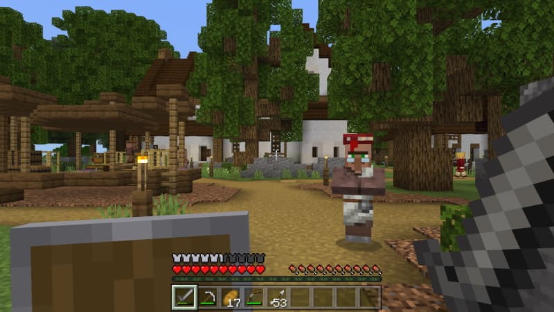 Medieval Village