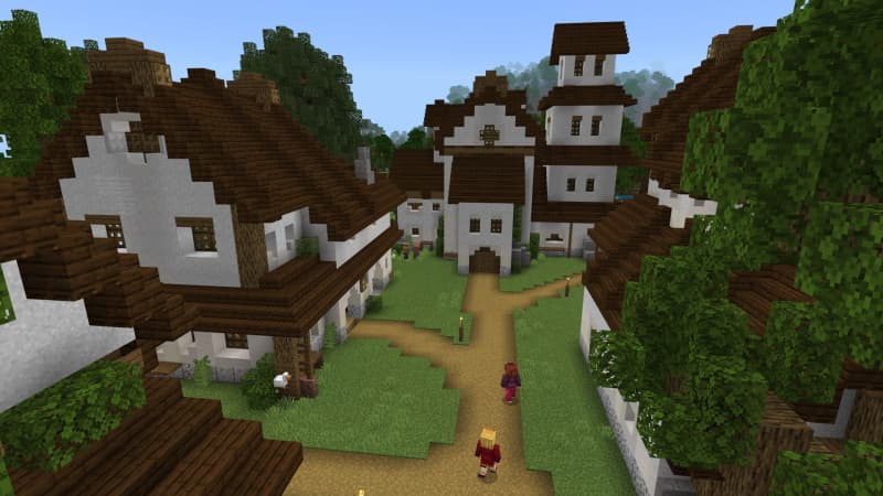 Medieval Village