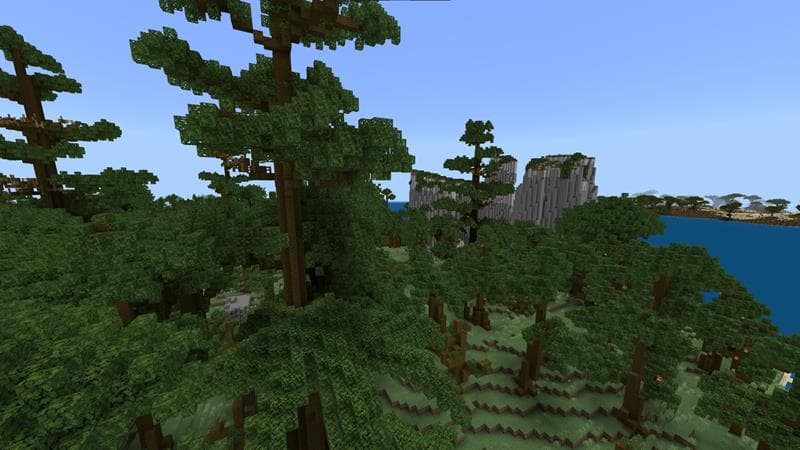 Earth
