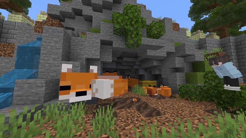 Random Sized Mob Zoo