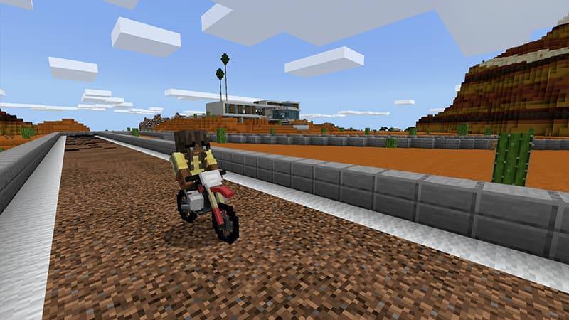 DIRT BIKE World