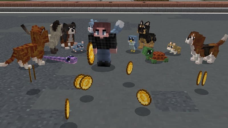 Baby Pets