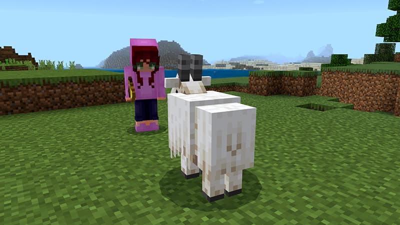 ORIGINAL LUCKY BLOCK!