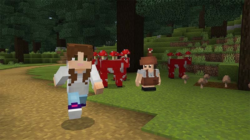 Mushroom Forest