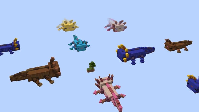 Axolotl Skyblock