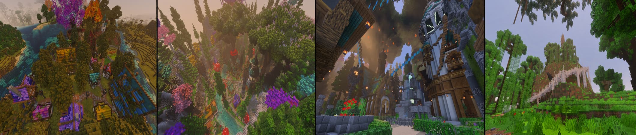 Enchanted Forest