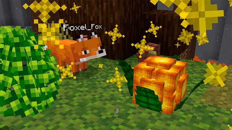 Be A Fox