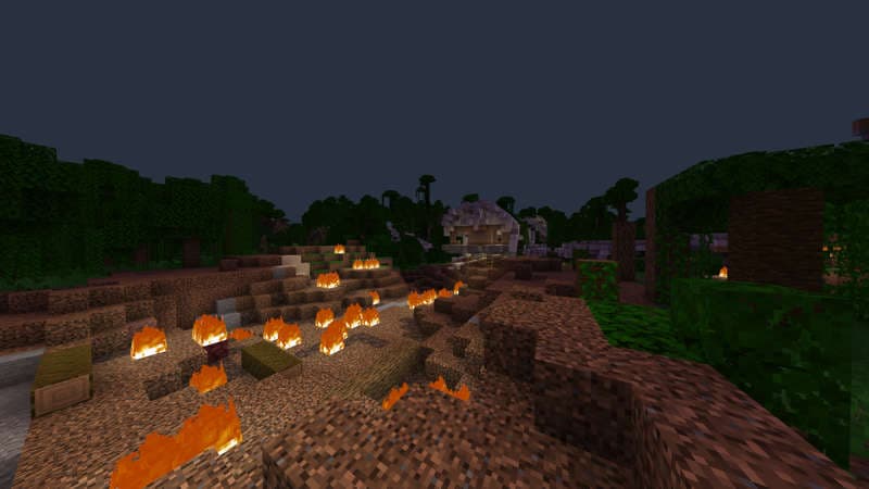 Plane Crash Survival