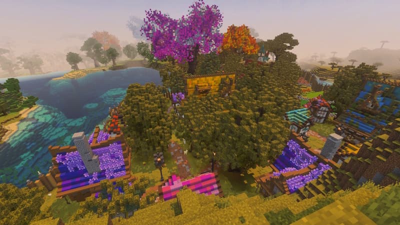 Enchanted Forest