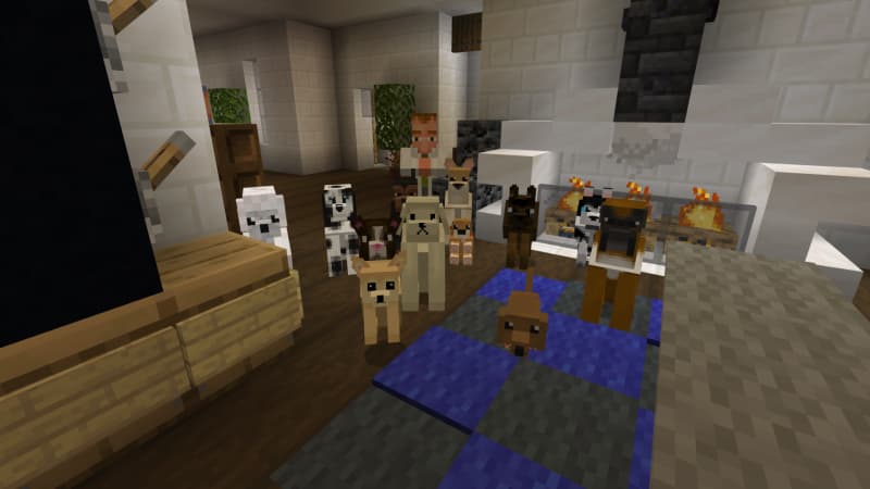 Pets: Dogs