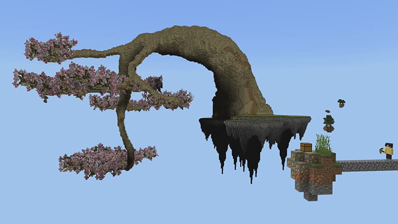SKY BLOCK+