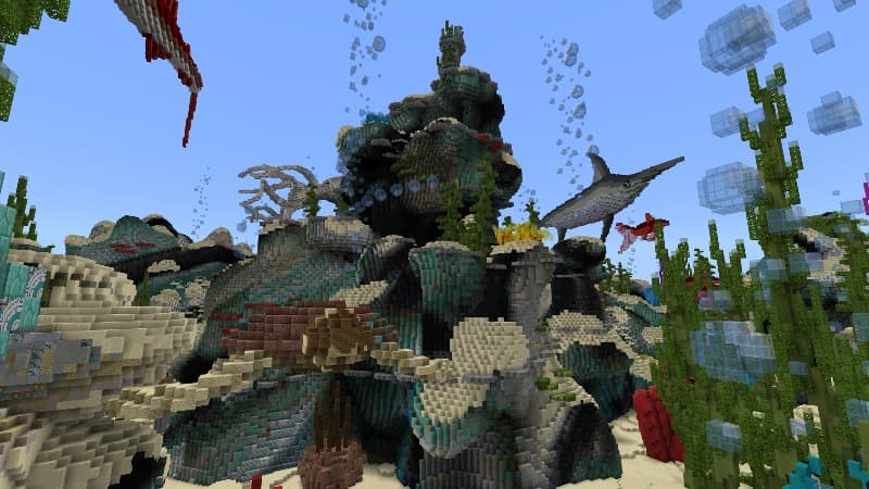 Coral Parkour