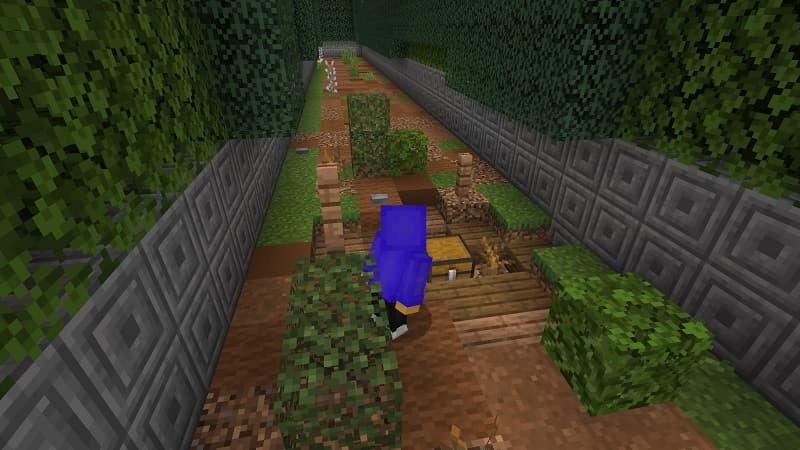 Dragon Maze