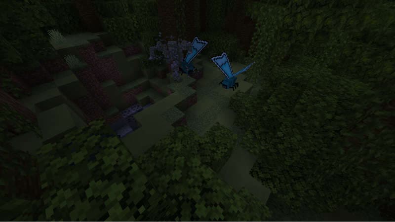 Adrax