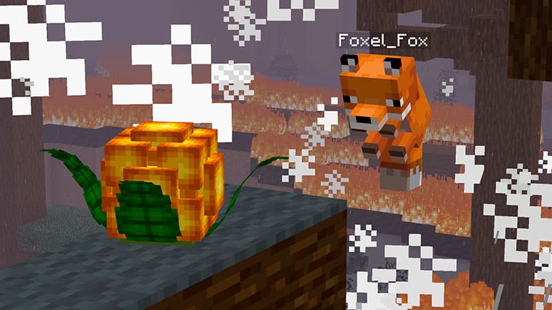 Be A Fox