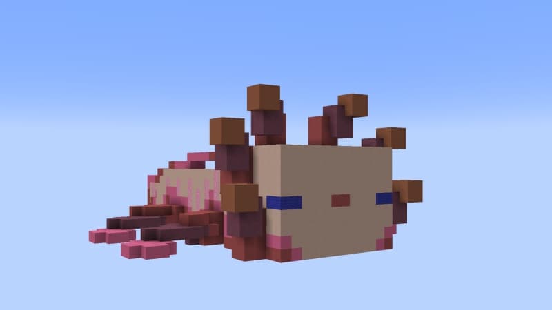 Axolotl Skyblock