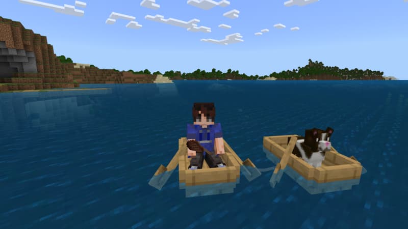 Pets: Dogs